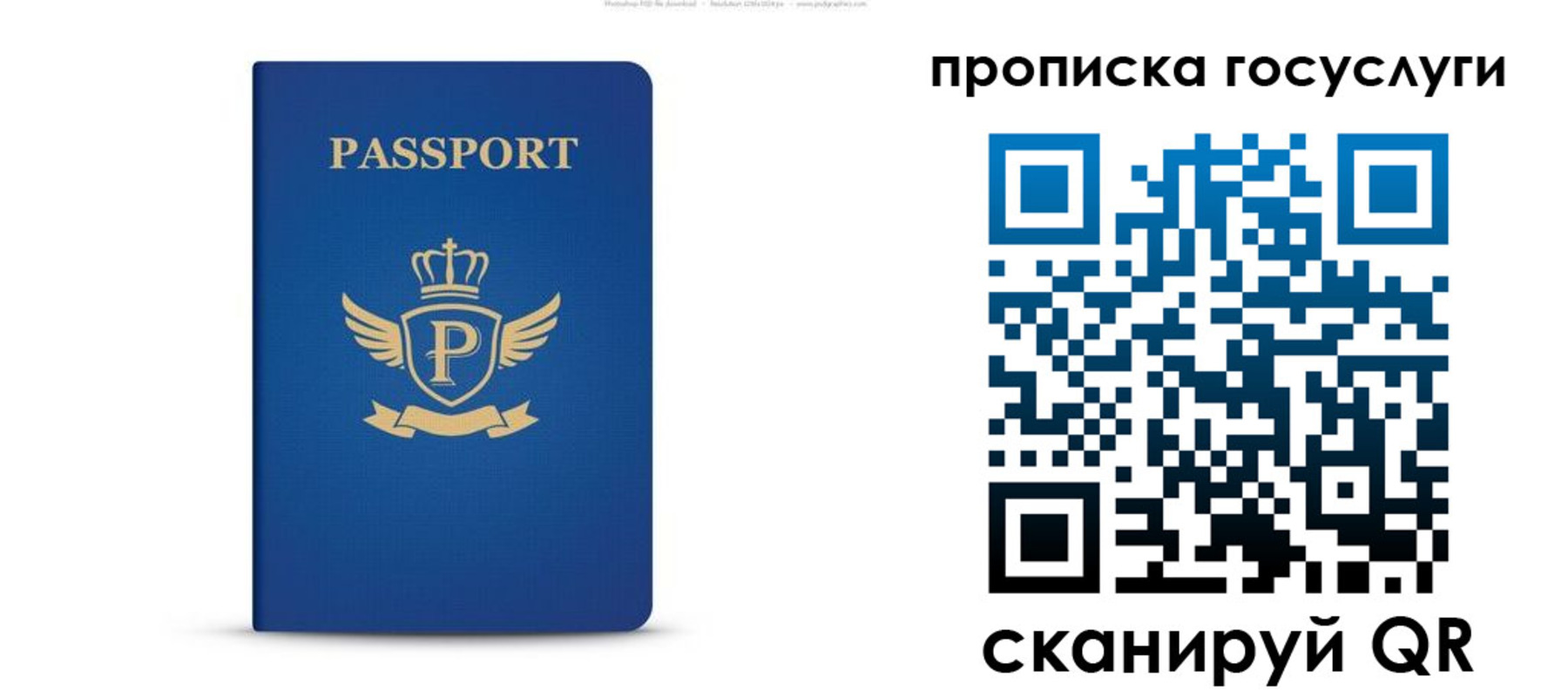 прописка для школы в Ессентуках
